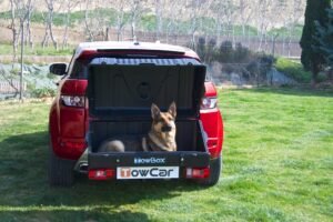 Towbox V1 Dog Portaperros - Imagen 12