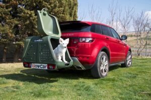 Towbox V2 DOG – transporte de perros - Imagen 10