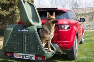Towbox V2 DOG – transporte de perros - Imagen 11