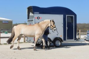Remolque para 1 caballo y medio Gold One Origins - Imagen 7