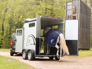 Remolque para 2 caballos Touring Jumping - Imagen 4